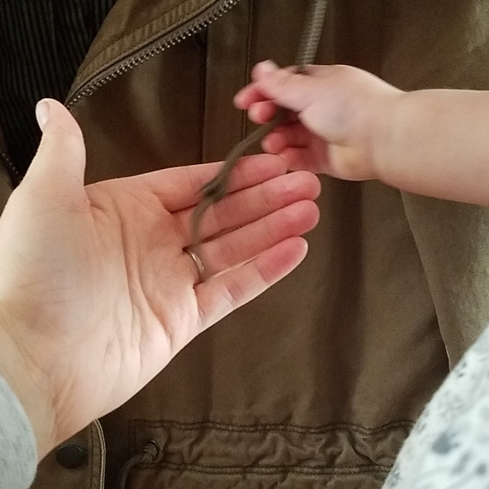 Jacket - Picture 2 of 3